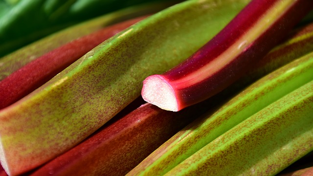rhubarb-2280153_640